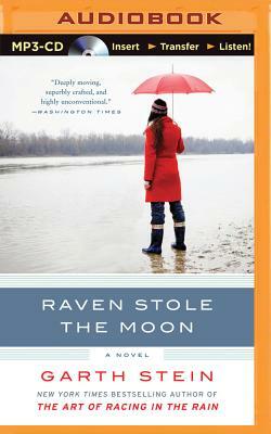 Raven Stole the Moon by Garth Stein