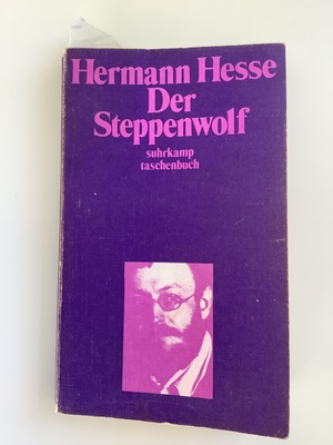 Steppenwolf, Der by Hermann Hesse