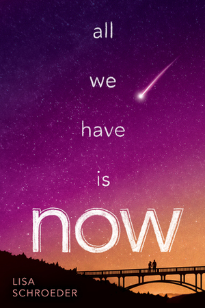 All We Have is Now by Lisa Schroeder