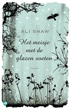 Het meisje met de glazen voeten by Ali Shaw