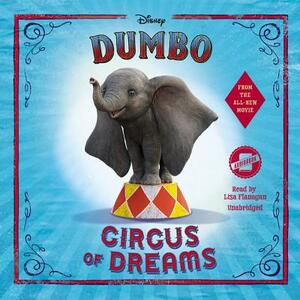 Dumbo: Circus of Dreams by Kari Sutherland, Disney Press