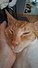 andreea112003's profile picture