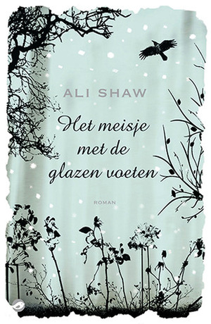 Het meisje met de glazen voeten by Ali Shaw