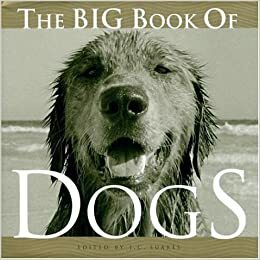 The Big Book of Dogs (Big Book of . . . (Welcome Books)) by J.C. Suares