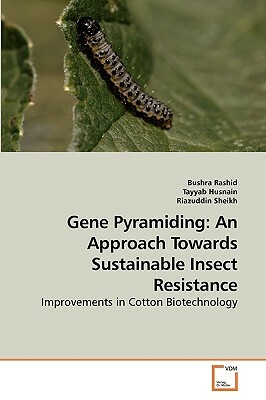 Gene Pyramiding: An Approach Towards Sustainable Insect Resistance by Riazuddin Sheikh, Tayyab Husnain, Bushra Rashid