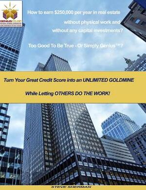 How to earn $250,000 per year in real estate without physical work and without any capital investments?: Turn Your Great Credit Score into an UNLIMITE by Steve Sherman