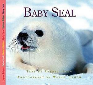 Baby Seal by Aubrey Lang, Wayne Lynch