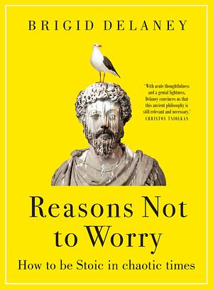 Reasons Not to Worry: How to be Stoic in chaotic times by Brigid Delaney