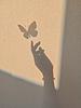 viols635's profile picture