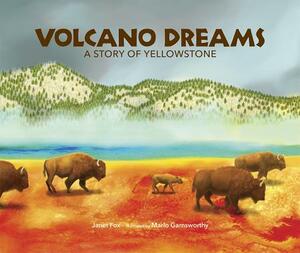 Volcano Dreams: A Story of Yellowstone by Janet Fox