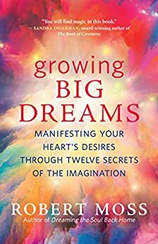 Growing Big Dreams: Manifesting Your Heart's Desires through Twelve Secrets of the Imagination by Robert Moss