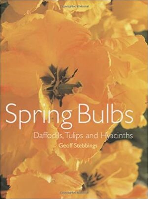 Spring Bulbs: Daffodils, Tulips and Hyacinths: Narcissus, Tulip and Hyacinths by Geoff Stebbings