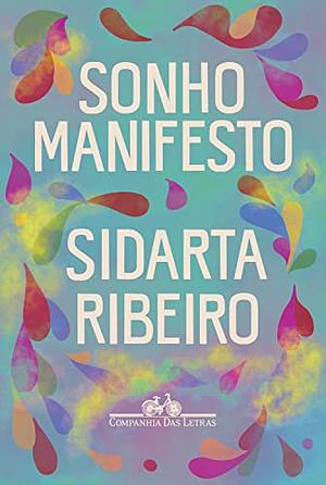 Sonho Manifesto: Dez exercícios urgentes de otimismo apocalíptico by Sidarta Ribeiro