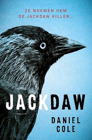 Jackdaw by Daniel Cole