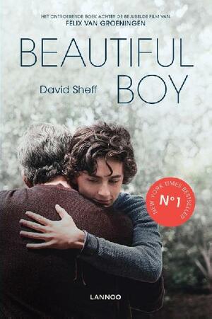 Beautiful Boy by David Sheff