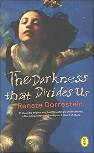 The Darkness that Divides Us by Renate Dorrestein