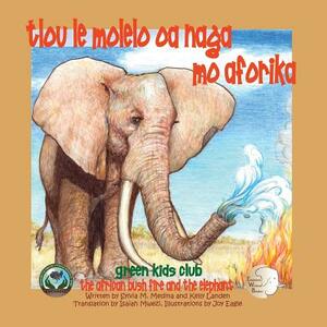 Tlou le Molelo oa naga mo Aforika - In Setswana - The African Bush Fire and the Elephant by Sylvia M. Medina, Kelly Landon