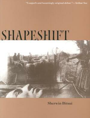 Shapeshift by Sherwin Bitsui