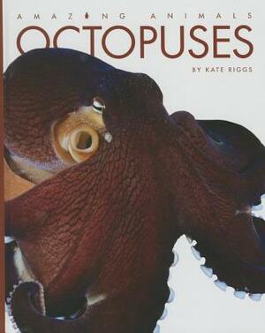 Octopuses by Kate Riggs