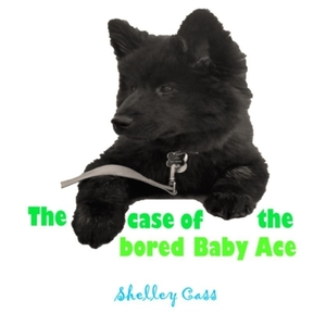 The Case of the Bored Baby Ace: Book Two in the Sleep Sweet Series by Shelley Cass