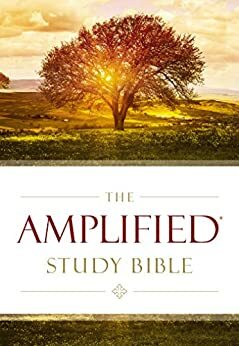 Amplified Study Bible by Anonymous