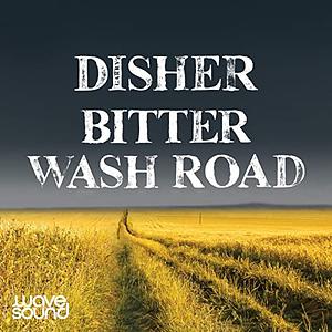 Bitter Wash Road by Garry Disher