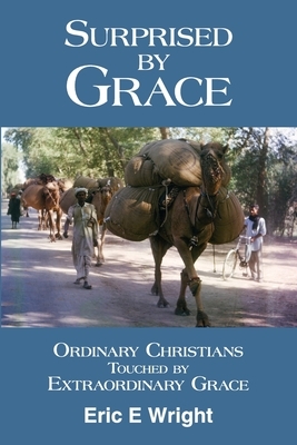 Surprised by Grace: Ordinary Christians Touched by Extraordinary Grace by Eric E. Wright, Mary Helen Wright