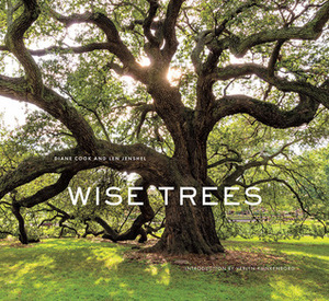 Wise Trees by Diane Cook, Len Jenshel, Verlyn Klinkenborg