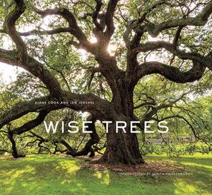 Wise Trees by Len Jenshel, Verlyn Klinkenborg, Diane Cook