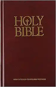 The Holy Bible: containing the Old and New Testament - New Revised Standard Version (NRSV) by Anonymous