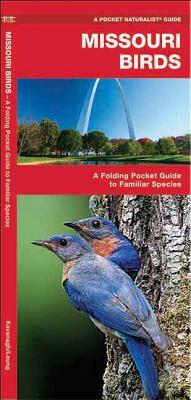 Missouri Birds: A Folding Pocket Guide to Familiar Species by Waterford Press, James Kavanagh