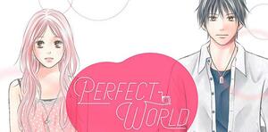 Perfect world, Vol. 1 by Rie Aruga