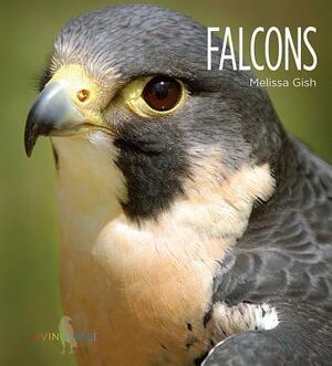 Falcons by Melissa Gish