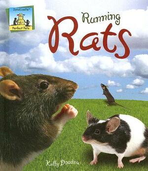 Running Rats by Kelly Doudna