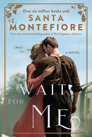 Wait for Me by Santa Montefiore