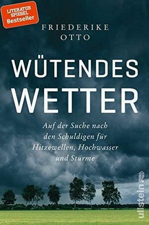 Wütendes Wetter: Auf der Suche nach den Schuldigen für Hitzewellen, Hochwasser und Stürme by Friederike Otto