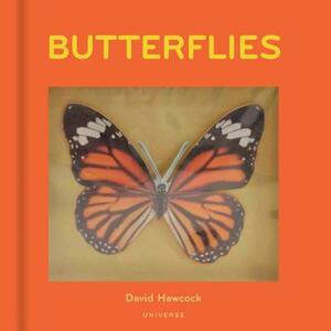 Butterflies: Pop-Up by David Hawcock