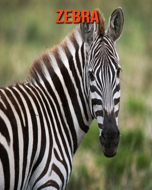 Zebra: Fun Learning Facts About Zebra by Sybil Edward