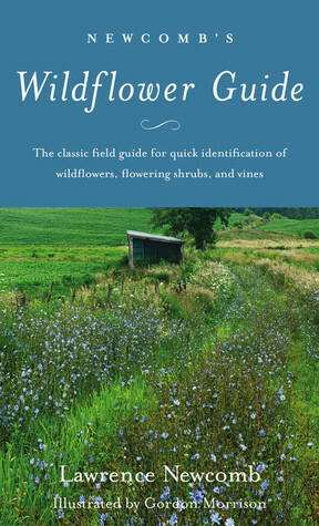 Newcomb's Wildflower Guide by Gordon Morrison, Lawrence Newcomb