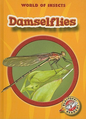 Damselflies by Colleen Sexton