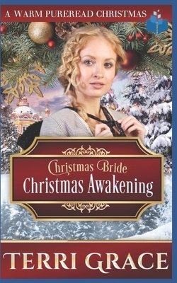 Christmas Bride - Christmas Awakening by Terri Grace