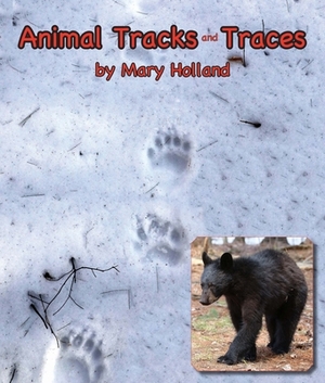 Animal Tracks and Traces by Mary Holland