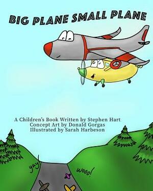 Big Plane Small Plane by Stephen Hart
