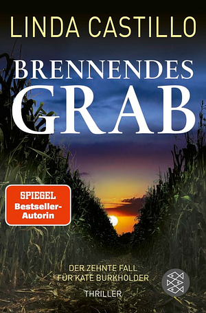 Brennendes Grab by Linda Castillo