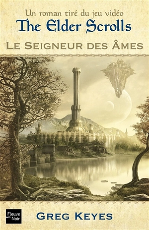 Le Seigneur des Âmes by Greg Keyes