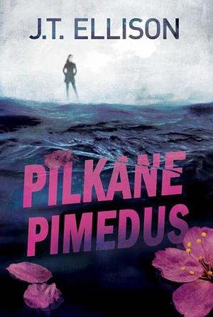 Pilkane pimedus by J.T. Ellison