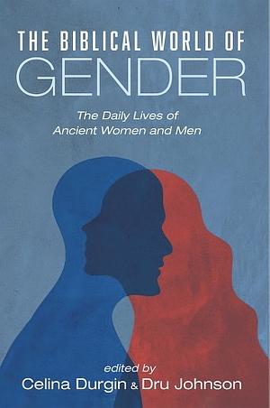 The Biblical World of Gender: The Daily Lives of Ancient Women and Men by Celina Durgin