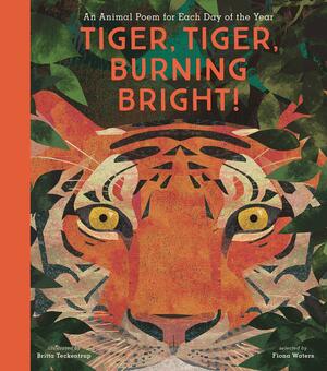 Tiger, Tiger, Burning Bright!: An Animal Poem for Each Day of the Year by Britta Teckentrup, Fiona Waters, Nosy Crow