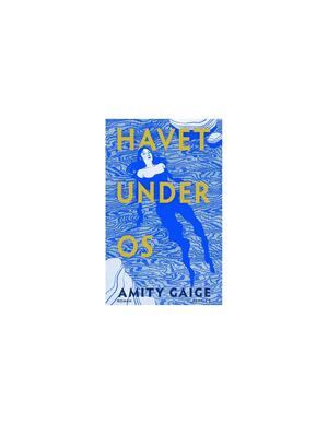 Havet under os by Amity Gaige