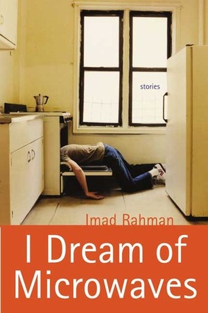 I Dream of Microwaves by Imad Rahman